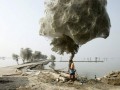 Нашестя павуків на дерева у Пакистані