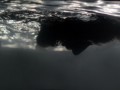 «Глубоководный» заплыв группы Gouache