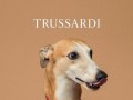 Cобаки-модели - оригинальная рекламная кампания Trussardi 