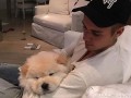 Джастин Бибер завел аккаунт в Instagram для своей собаки